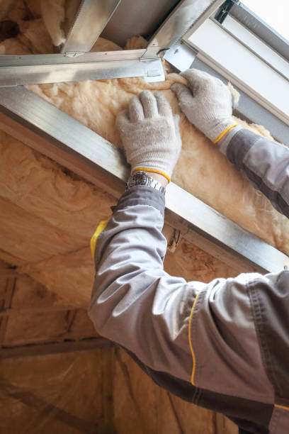 Trusted Lovington, NM Insulation Contractor Experts